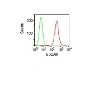 Ep-CAM / CD326 (Epithelial Marker) Antibody
