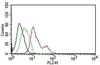 Estrogen Receptor, alpha (Marker of Estrogen Dependence) Antibody - Purified Ab conjugated to PE