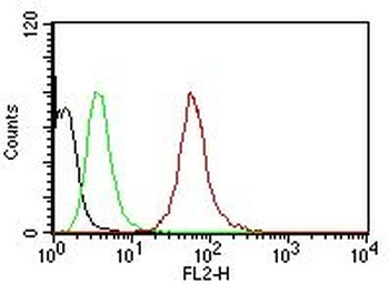 Cytokeratin, pan (Epithelial Marker) Mouse Monoclonal Antibody [Clone AE-1/AE-3]