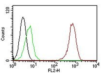 CD31 / PECAM-1 (Endothelial Cell Marker) Mouse Monoclonal Antibody [Clone C31.7]
