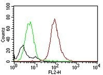 CD63 (Late Endosomes Marker)Mouse Monoclonal Antibody [Clone MX-49.129.5]