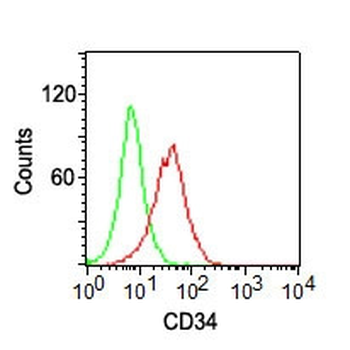 CD34 (Hematopoietic Stem Cell & Endothelial Marker) Antibody - Conjugated to PE