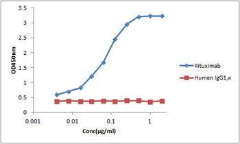 Anti-Mabthera monoclonal antibody (3D6H10)