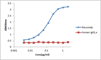 Anti-Rituximab Monoclonal Antibody (1F3C10)