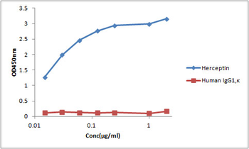 Anti-Herceptin monoclonal antibody (1402CT551.4.30)