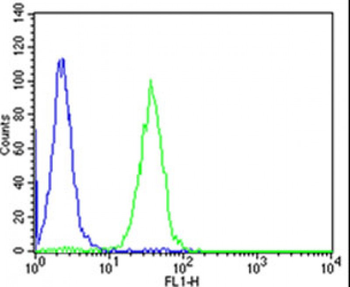 NCAM1 Antibody (C-term)