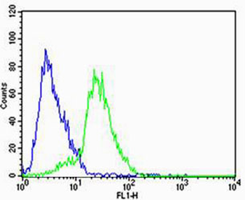 STRADA Antibody (C-term)