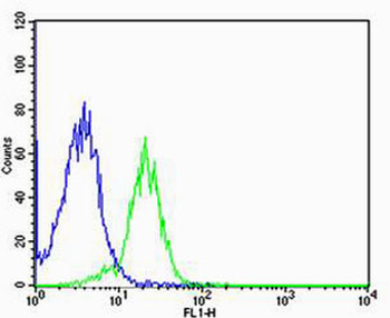 HIST1H4A Antibody (C-term)