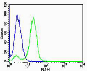NDUFB4 Antibody (N-term)