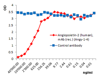 Functional Angiopoietin-2 (human) Antibody, mAb (recombinant) (blocking)(preservative free)