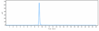 DKK1 Reference Antibody (BHQ880)