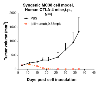Anti-CTLA-4 / CD152 Reference Antibody (ipilimumab)