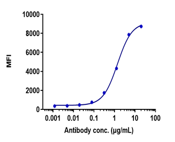 Anti-TNFRSF17 / BCMA / CD269 Reference Antibody (belantamab)