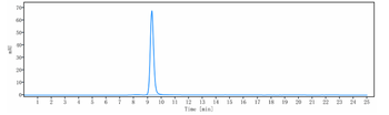 TNFRSF17 / BCMA / CD269 Reference Antibody (belantamab mafodotin)