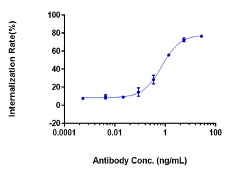 Anti-FOLR1 / FRA Reference Antibody (farletuzumab)