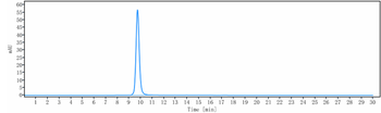 NGF / bNGF Reference Antibody (MEDI-578)