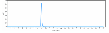 ERBB2 / HER2 / CD340 Reference Antibody (gancotamab)