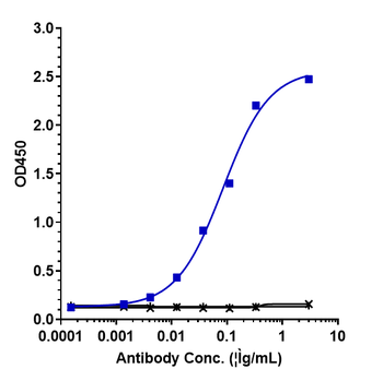 Anti-IL-6 / IFNb2 Reference Antibody
