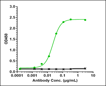 Anti-IL-6 / IFNb2 Reference Antibody (siltuximab)