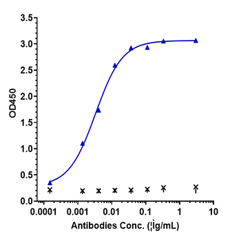 Anti-IFNg Reference Antibody (AMG 811)