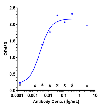 Anti-VEGF Reference Antibody