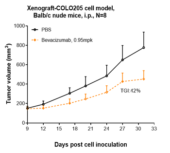 Anti-VEGF Reference Antibody