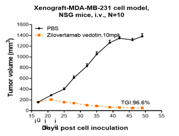 Anti-ROR1 Reference Antibody (zilovertamab vedotin)