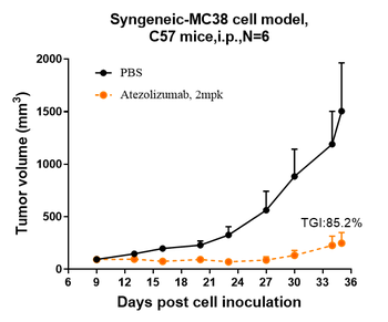 Anti-B7-H1 / PD-L1 / CD274 Reference Antibody (atezolizumab)