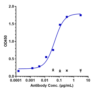 Anti-CD38 Reference Antibody (daratumumab)