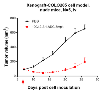Anti-CDH17 / Cadherin-17 Reference Antibody (10C12)