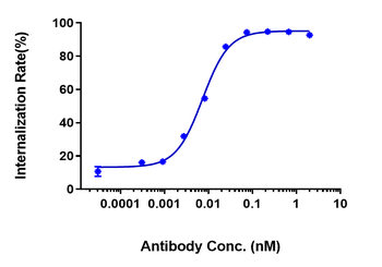 Anti-CDH17 / Cadherin-17 Reference Antibody (10C12)