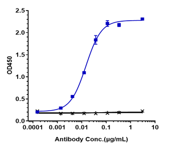 Anti-IFNAR1 Reference Antibody