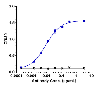 Anti-ERBB3 / HER3 Reference Antibody (barecetamab)