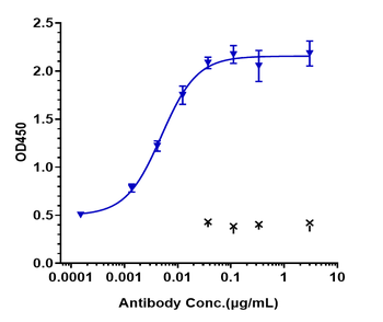Anti-FcRn (FCGRT & B2M) Reference Antibody (nipocalimab)