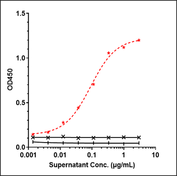 Anti-CD19 Reference Antibody (tafasitamab)