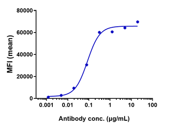 Anti-CD19 Reference Antibody (tafasitamab)