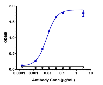 Anti-ERBB2 / HER2 / CD340 Reference Antibody (trastuzumab-MMAE)