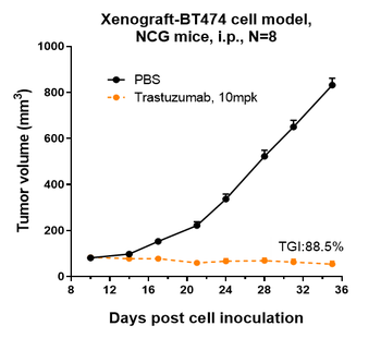 Anti-ERBB2 / HER2 / CD340 Reference Antibody (trastuzumab)