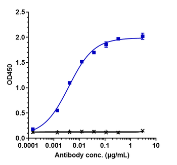 Anti-Nectin-4 Reference Antibody (enfortumab)