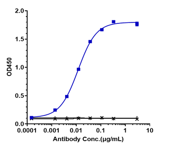 Anti-DLL4 Reference Antibody (navicixizumab)