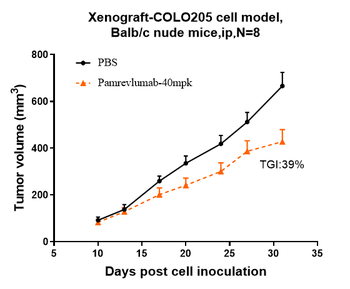 Anti-CCN2 / CTGF Reference Antibody (pamrevlumab)