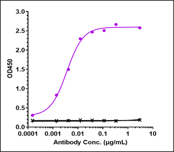 Anti-Amyloid Beta Reference Antibody (lecanemab)