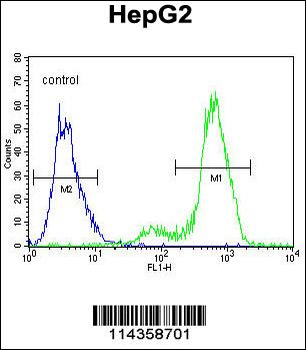 SUV4-20H1 Antibody (C-term)