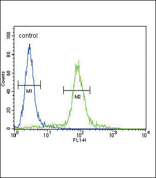 ITGA11 Antibody (N-term)