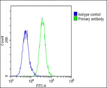GRB14 Antibody (N-Term)