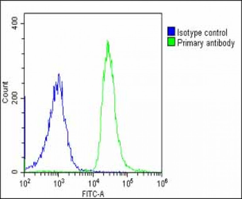 SHC2 Antibody (N-Term)