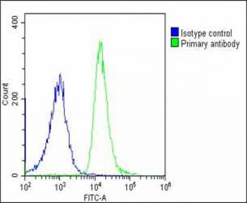 ATP6V1G3 Antibody (N-Term)