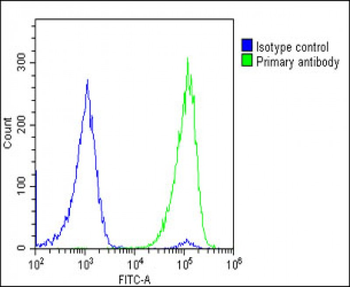 GPX7 Antibody (Center)