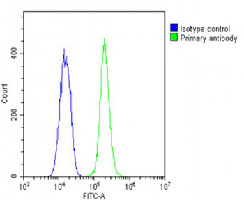 beta Tubulin Antibody