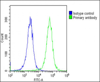COL14A1 Antibody (Center)